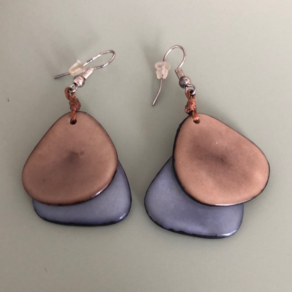 Blue and brown dangle earrings.